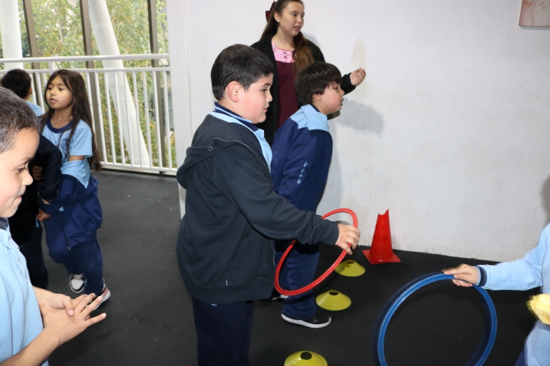 Día de la Actividad Física